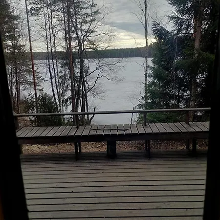 Ahti's Dağ evi *